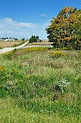 On the Road